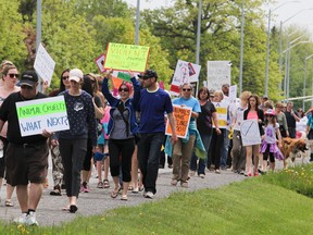 More than 100 people walk in the Justice for Pip rally on Sunday afternoon in Kingston's west end to help raise awareness against animal cruelty. Pip the cat was brutally killed and a 23-year old man has been charged with the crime. Julia McKay/The Whig-Standard