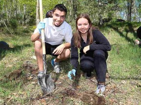 JOHN LAPPA/THE SUDBURY STAR
Ecole secondaire du Sacre-Coeur students Mathieu Lamontagne, left, and Danielle Pominville plant trees at the Sudbury, ON. school as part of celebrations marking the shared history of the high school and the University of Sudbury on Tuesday, May 27, 2014. Representatives from the university and from the high school highlighted their common history during the event. A total of 100 trees were planted to recognize The 100th anniversary of the university. In 1913, College du Sacre-Coeur was established. The institution would later take the name of the University of Sudbury in 1957. The college on Notre Dame Avenue closed its doors and stopped offering secondary school education in 1967. In 2003, the new Ecole secondaire du Sacre-Coeur opened its doors on the same site where the former college was located.