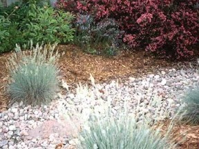 Building a rain garden is one way that you can help plants thrive and let stormwater soak slowly into the ground, just as it does in nature. (Supplied photo)