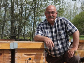 Tim Townsend, owner and operator of TPLR Honey Farms Ltd., in Stony Plain has worked with bees since the age of 13. Townsend says despite bee-ing stung countless times he has enjoyed his 30 plus years in the business. - Karen Haynes, Reporter/Examiner