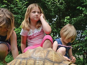 Peekaboo at Turtlefest 2013. CHRIS ABBOTT/TILLSONBURG NEWS