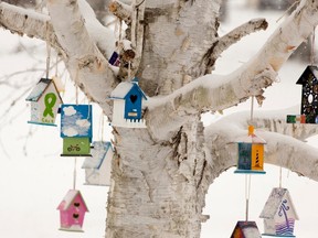 Personalized birdhouses are part of a memorial for the victims of the Sandy Hook Elementary School shooting in Newtown, Connecticut December 14, 2013 .  Today marks the one year anniversary of the shooting rampage at Sandy Hook Elementary School, where 20 children and six adults were killed by gunman Adam Lanza. REUTERS/Michelle McLoughlin