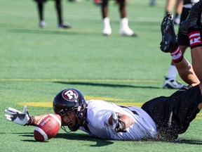Ottawa REDBLACKS WR Paris Jackson is excited by the opportunity to catch passes from Henry Burris. Errol McGihon/Ottawa Sun/QMI Agency