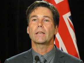 Health Minister Eric Hoskins. (Antonella Artuso/Toronto Sun files)