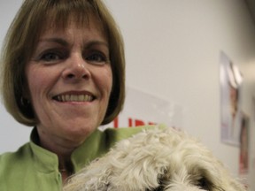 Liberal candidate Anne Marie Gillis has been visiting potential voters with Bailey, a bichon-shih tzu mix who belongs to one of her campaign volunteers. The 59-year-old retired nurse decided to become Sarnia-Lambton's Liberal candidate after a change of party leadership. (BARBARA SIMPSON, The Observer)