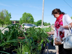 Shoppers had baked goods in one hand and plants in the other at the Saturday, May 31 Norwich Optimist Plant and Bake Sale. Including sales and donations, the event raised $6,039.35 which will go to the local Amish community, who are dealing with two recent health tragedies. STEPHEN PIERCE/FOR THE NORWICH GAZETTE/QMI AGENCY