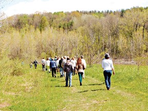 The Catfish Creek Slope & Floodplain Forest is one of the 38 special natural areas identified by the Carolian Canada Coalition.