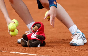 A ball boy picks up a teddy bear thrown on the court to support Eugenie Bouchard of Canada after she won her women's quarter-final match against Carla Suarez Navarro of Spain at the French Open on June 3.