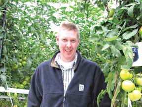 Greg Devries, president of Truly Green Farms, displays tomatoes- on-the-vine being grown in the company's greenhouse in Chatham.