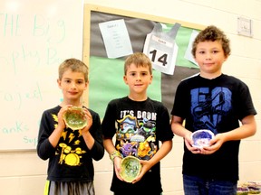 Colten Henley, Colten Sharpe and Ethan Preisentanz show off the clay bowls they made for their schools Big Empty Bowl Project on Tuesday, June 3.