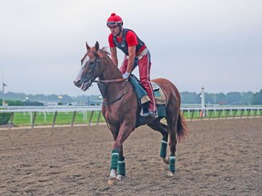 California Chrome, ridden by exercise rider Willie Delgado, enters the track on Wednesdayfor workouts in preparation for the Belmont Stakes. (USA TODAY SPORTS)