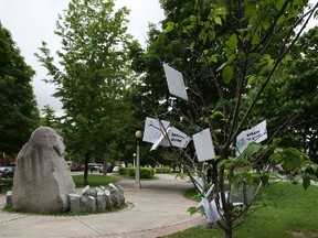 Some are questioning the process involved with the city's commemorative tree program after this tree and plaque turned up in Minto Park, honouring eight foreigners involved in a demonstration in Turkey. 
(DOUG HEMPSTEAD/Ottawa Sun)