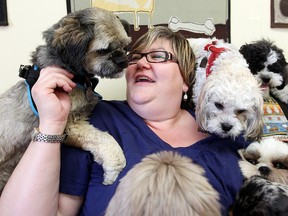 Lee Wicox, co-owner of The Little Dog House, plays with some dogs in her shop in Winnipeg, Man. Thursday June 05, 2014. Wilcox is one of the exhibitors at the Manitoba Pet Expo this weekend.
Brian Donogh/Winnipeg Sun/QMI Agency