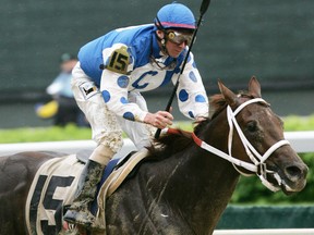 Smarty Jones — with jockey Stewart Elliott aboard — was caught at the end of the Belmont Stakes by underdog Birdstone. (REUTERS)