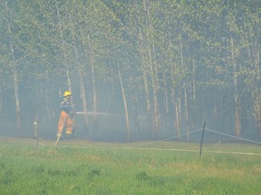 Firefighters finish off a grass fire south of Spruce Grove in 2013. - Thomas Miller, File Photo