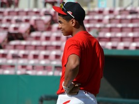 The Seattle Mariners have high hopes for Canadian draft pick Gareth Morgan. (ALEXIS BRUDNICKI/PHOTO)