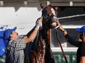 California Chrome (Reuters)