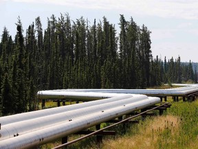 Pipelines carrying steam to wellheads and heavy oil back to the processing plant line the roads and boreal forest at the Cenovus Energy Christina Lake Steam-Assisted Gravity Drainage (SAGD) project 120 km (74 miles) south of Fort McMurray, Alberta, August 15, 2013. Cenovus currently produces 100,000 barrels of heavy oil per day at their Christina Lake tar sands project. REUTERS/Todd Korol  (CANADA - Tags: ENERGY BUSINESS)