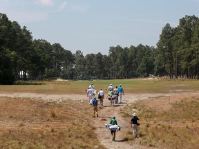 Players approach the 10th fairway during a practice round for the U.S. Open at Pinehurst No. 2. (Kevin Liles/USA TODAY Sports)