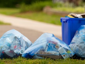 Clear blue bags carry recycling, but little food is being left out in the curbside recycling drive in London, Ont. (MIKE HENSEN, The London Free Press)