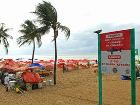 Vendors adjust sun recliners near a sign warning the public of shark attacks ahead of the World Cup in Recife, Brazil, on Wednesday, June 11, 2014. (Yves Herman/Reuters)