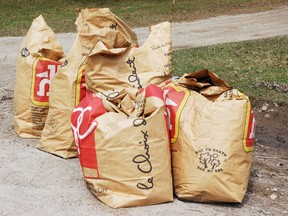Lucknow residents have become angry over council's decision to eliminate curbside pick-up of yard waste. QMI Agency file photo