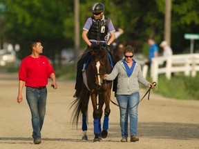 Jockey Gerry Olquin guides Paladin Bay through her final breeze in preparation for Sunday’s Woodbine Oaks. Paladin is owned by Jessie Ladouceur and trained by her husband, Harold Ladouceur. (MICHAEL BURNS/PHOTO)