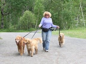 JOHN LAPPA/THE SUDBURY STAR/QMI AGENCYDebbie Angelini walks Bailey, left, Gracie and Katie at Fielding Park in Walden, ON. on Friday, June 13, 2014. Angelini and the dogs had a close encounter with a bear at the park on Thursday afternoon.