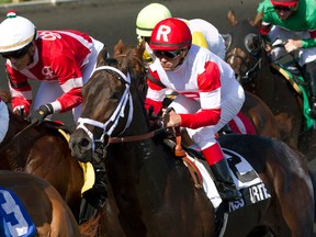 Jockey Javier Castellano guides We Miss Artie to victory in the Plate Trial at Woodbine Racetrack on Sunday. (Michael Burns/Photo)
