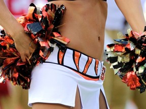 A former Bengals cheerleader had her $338,000 jury award against a website overturned by an appeals court on Monday. (John Sommers II/Reuters/Files)