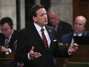 Natural Resources Minister Greg Rickford speaks during Question Period in the House of Commons on Parliament Hill in Ottawa June 17, 2014. REUTERS/Chris Wattie