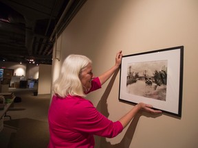 Curator Michale Lang prepares historical photographs to be displayed in an upcoming exhibit at the Canmore Museum & Geoscience Centre. Justin Parsons/ Crag & Canyon/ QMI Agency