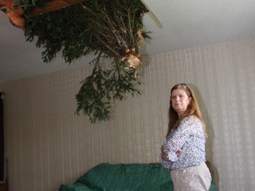 Angie Wishart stands in her living room where a giant spruce tree came crashing through the ceiling. (Tracy McLaughlin/Special to the Toronto Sun)