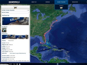 A computer screenshot shows the track of a great white shark named Katherine as it swims down the east coast of the United States in this handout photo provided by Ocearch.org.

REUTERS/OCEARCH.org/Handout via Reuters