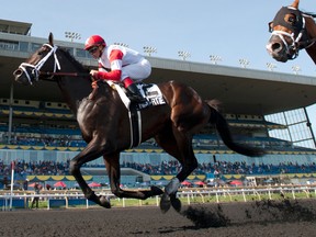 Jockey Javier Castellano guides We Miss Artie to victory in the $150,000 Plate Trial Stakes at Woodbine on Sunday. Next for We Miss Artie will be the Queen's Plate on July 6. (MICHAEL BURNS/PHOTO)