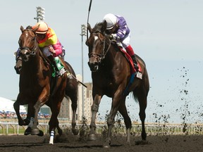 Jockey Justin Stein guides Phil’s Dream (right) to victory over Go Blue Or Go Home in the $100,000 Ontario Jockey Club Stakes at Woodbine Racetrack on Saturday. (Michael Burns/Photo)