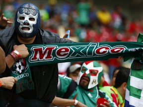 A fan of Mexico poses before the start of the 2014 World Cup Group A soccer match against Croatia at the Pernambuco Arena in Recife June 23, 2014. (REUTERS/Paul Hanna)