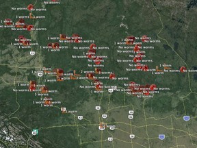 Screen grab from Google Earth which shows reported earthworm sightings in Alberta.