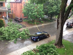 A large tree branch fell on a car along MacLaren St. in downtown Ottawa during Tuesday's series of rain and thunderstorms. (SHANE ROSS Ottawa Sun)