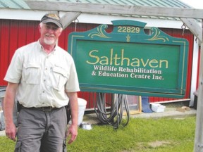 Brian Salt, founder of Salthaven Wildlife Rehabilitation and Education Centre in Mt. Brydges, has a committed team of more than 100 volunteers nurturing 1,000 birds and other animals back to health each year. (Paul Nicholson/Special to QMI Agency)
