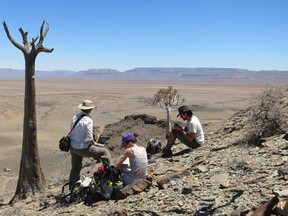 Researchers carry out field work in southern Namibia, in this undated handout photo obtained by Reuters on June 26, 2014. Researchers said on June 26, 2014 they found fossils of the oldest-known animal-made reef in Namibia, built by a small, filter-feeding seabed creature called Cloudina 548 million years ago.      REUTERS/Rachel Wood/Handout via Reuters