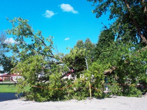 Half of a large tree fell on the D.A. Gordon public school playground on June 25. The tree fell a few minutes after the school bell rang for the last time ever at D.A. Gordon, as the school is being closed by the Lambton Kent District School Board.
