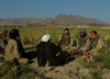 Major Bill Fletcher, the Officer Commanding C Company, 1 PPCLI, conducts a meeting with village elders from Garmak, west of Kandahar, 2 April 2006. (SUPPLIED)