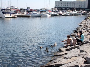 Sewage that bypassed Kingston's water treatment facilities was found along the waterfront near the Flora MacDonald Confederation Basin a few weeks ago. (Ian MacAlpine/The Whig-Standard)
