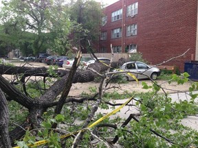 A large tree fell on a car in the 400-block of River Avenue Saturday night. The tree's trunk is at the front of the car and, laying down, stretches across the lot and into the back lane. (David Larkins/Winnipeg Sun/QMI Agency)