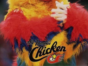Ted Giannoulas, better known to millions of sports fans by his mascot alter ego, the San Diego Chicken. (Free Press file photo)
