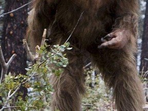 Depiction of Bigfoot
(File photo)