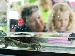 Quinte conservation family nature days