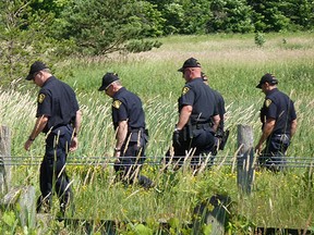 Ontario Provincial Police officers search the long grass at Oro-Medonte Township's 4th Line, along Holick Road, just north of Barrie, after police found human remains were found in a burned vehicle July 4, 2014. (Bob Bruton/QMI Agency)