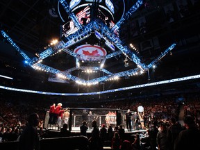 Pat Healy (red) fights Khabib Nurmagomedov (blue) in the lightweight main card for UFC 165 at the Air Canada Centre in Toronto on Saturday September 21, 2013. (Dave Abel/QMI Agency)